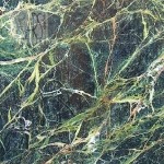 Blaty granitowe, blaty kamienne Forest Green - Marmur